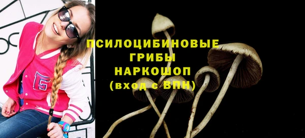 PSILOCYBIN Абаза
