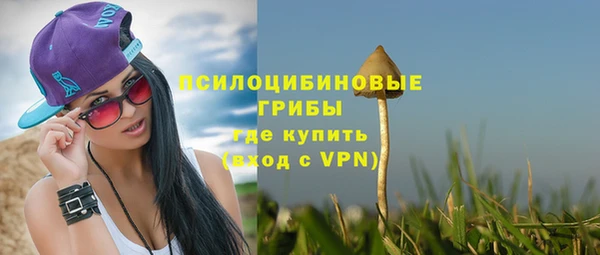 PSILOCYBIN Абаза
