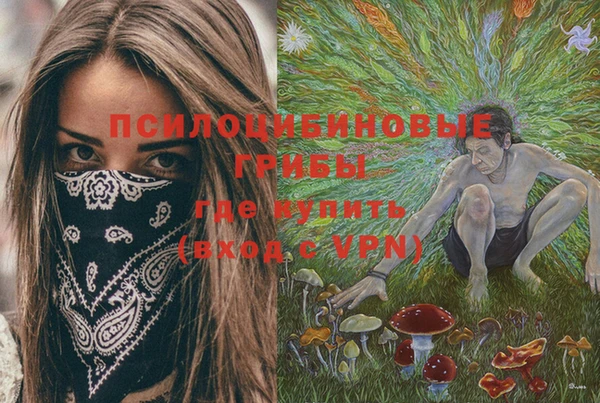 PSILOCYBIN Абаза